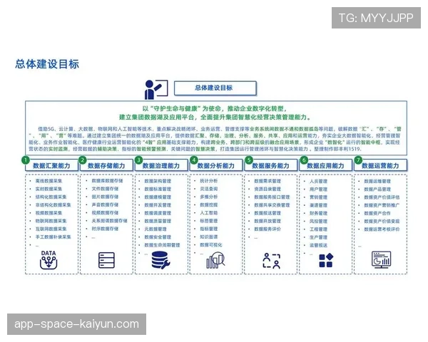 联盟商业化大数据平台的技术架构探讨，商会大数据平台方案